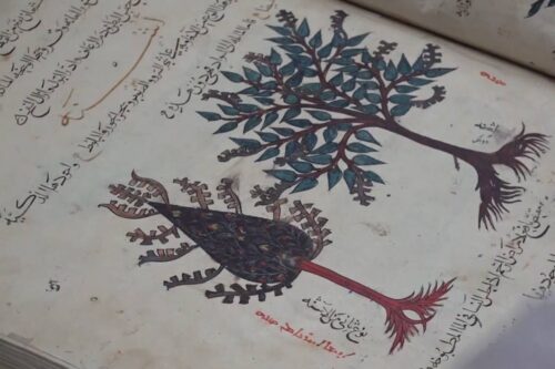Una biblioteca iraní de 500 años de antigüedad alberga conocimientos…